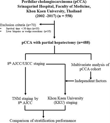 Modification of the eighth AJCC/UICC staging system for perihilar cholangiocarcinoma: An alternative pathological staging system from cholangiocarcinoma-prevalent Northeast Thailand